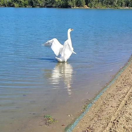 Luksusowy namiot Dome Romantique Du De La Cadie *